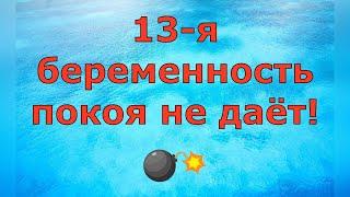 Деревенский дневник очень многодетной мамы \ 13-я беременность покоя не даёт! \ Обзор
