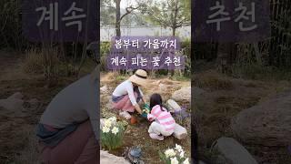 봄부터 가을까지 계속 피는 꽃추천!
