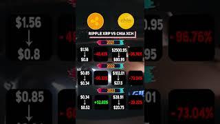 RIPPLE XRP VS CHIA XCH / КАКАЯ ИЗ ЭТИХ КРИПТОВАЛЮТ РЕАЛЬНО СКАМ / ФАКТЫ #XRP #XCH #SHORTS XCH VS XRP