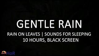 10 Hours of Relaxing Rain on Leaves, Sounds of Rain for Sleeping, Black Screen Sounds of Nature