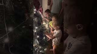 Зимние каникулы  Home video
