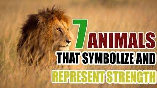 7 Animals That Symbolize and Represent Strength - Sign Meaning