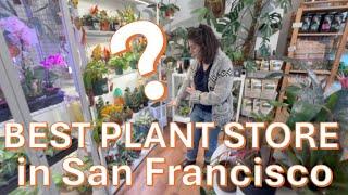 REVEALED: Best Plant Shop in San Francisco???