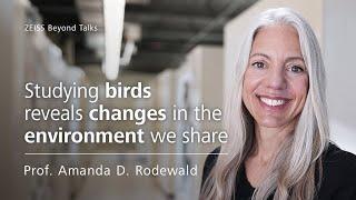 ZEISS Beyond Talks – Studying birds reveals changes in the environment we share