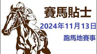  賽馬貼士 跑馬地賽事 (2024年11月13日)