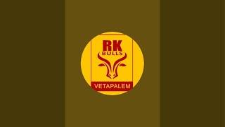RK BULLS Vetapalem farm live
