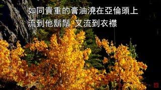 弟兄和睦同居 | 小羊詩歌《一粒麥子》專輯