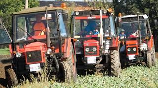 Tractor Show - Starokolínská brázda 2024