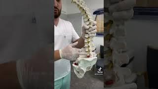 Грыжа в пояснице, болит нога - упражнение