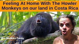 Howler Monkeys On Our Land In Costa Rica - Santa Teresa Costa Rica