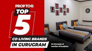 Top 5 Co-Living Brands in Gurugram | On the basis of number of locations