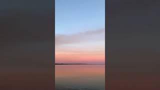 So calm and pinky #sunsetlovers #shorts #nature