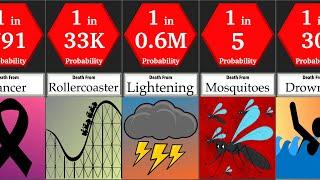 Probability Comparison: Causes of Death | DataRush 24