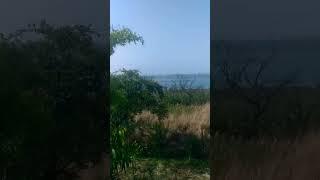 birding with ankit in can vihar national parks and zoo #nature #birdphotography