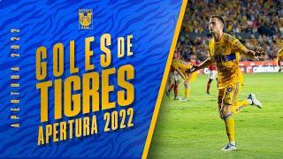 ️ ¡Todos los goles de Tigres en el Apertura 2022!