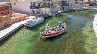 Exploring Crystal Clear Canals For GIANT Multispecies Fish -- Casting Concrete PT 2