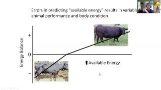 ROWLI - Feedstuffs and Impact on Nutrient Metabolism