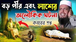 বড় পীর এবং লাশের অলৌকিক ঘটনা । তোফাজ্জল হোসেন ভৈরবী । Tofazzal Hossain bhairovi  | Bangla Waz |