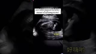 คลอดออกมาบันเทิงแน่#คลายเครียด #คลายเครียด #เปิดการมองเห็น #ตลก #reels #shorts #music #ลูก