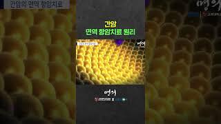 면역세포는 어떻게 암세포를 잡아먹을까?