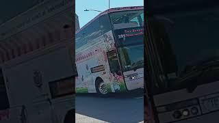 Tea Around Town Bus | 6/27/2024