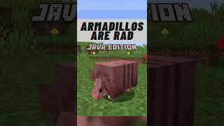 Minecraft Armadillo Secrets Tutorial [Minecraft 1.21+] #shorts