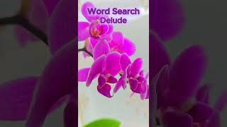 Word Search: Delude