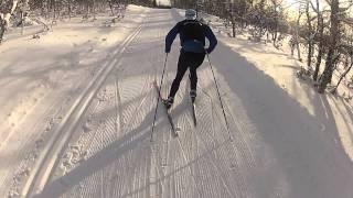 Härlig utförskörning i Bruksvallarna!!