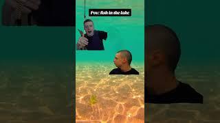 #melstroy #friend  #shorts #youtubeshorts #trending #viralvideo #life #fish