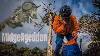 The Scottish Midge Invasion: Is Mountain Biking Worth The Bite?