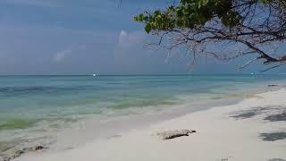Фоновое видео. Трейлер канала "Tropical Summer"