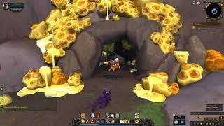 Royal Succession Quest ID 50168 Playthrough WoW