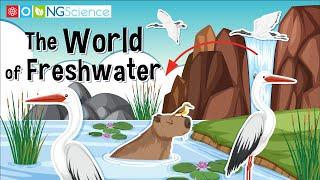 The World of Freshwater