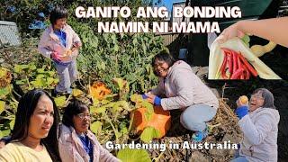 Don't lose HOPE, perseverance is the KEY | Ganito ang bonding namin ni Mama | Gardening in Australia