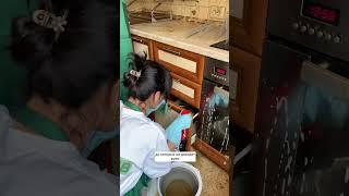 Ты моешь пол, а запах остаётся? Вот почему 