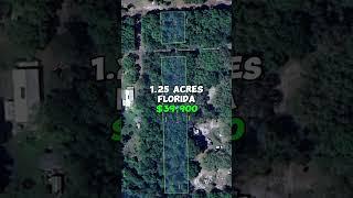 1.25 acres for sale in Florida for $39,900. #fyp #realestate #property #forsale #land