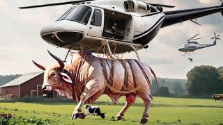 How Farmers Raise Millions Of Cattle From The Air - Agriculture Technology