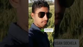 miya bhai(1)