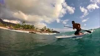 Stafford Surf School -  Hawaii Trip October 2017 Video Blog