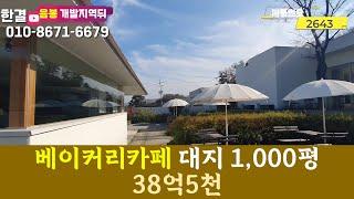 천안 아산 베이커리카페 38억5천  일대 토지 매매 약 1,000평 음봉일반산업단지,삼성디스플레이