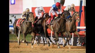 REPLAY - 2025 Dubai World Cup - FULL MEETING