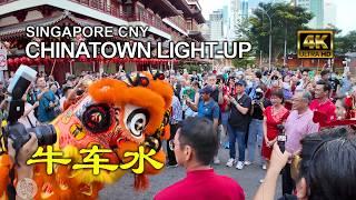 Singapore Chinese New Year 2025| 牛车水 | Chinatown Light-Up | Temple Street CNY Market