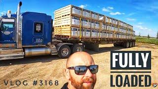 FULLY LOADED | My Trucking Life | Vlog #3168