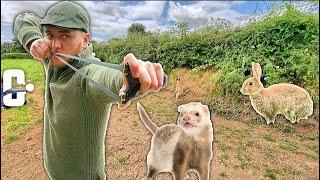 Slingshot Hunting and Ferreting | Catch and Cook