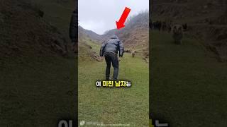 양을 화나게 하지 마세요