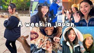 a week in japan w friends  deer park, skiing & lots of food 