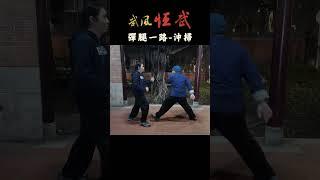 十路彈腿-一路沖掃對拆打法 #baji   #kungfu #武術 #martialarts #功夫  #bajiquan #八極拳  #wushu #彈腿 #對練