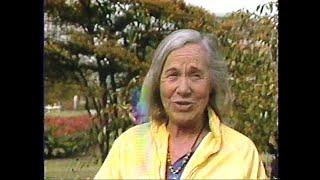 WTTW ID -