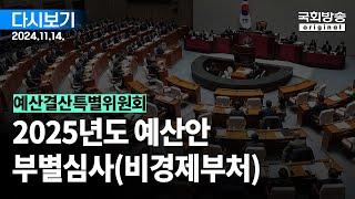 [국회방송 생중계] 예산결산특별위원회 - 2025년도 예산안 부별심사(비경제부처) 1부 (24.11.14.)