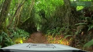 Green Lanes in a Dacia Duster - Buckfast, Devon